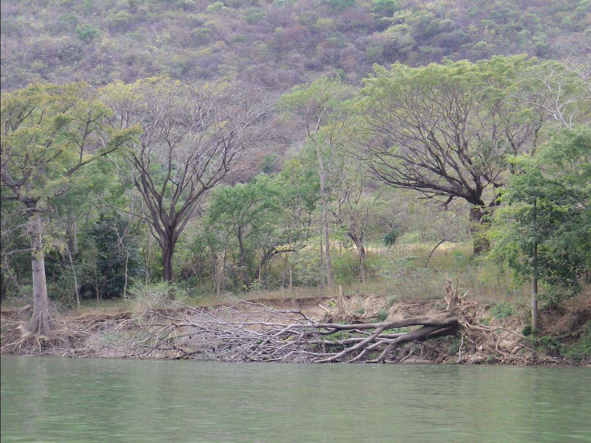 Sumidero Canyon near Tuxtla Gutierrez049